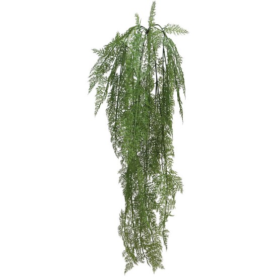 ΡΙΖΑ ΚΡΕΜΑΣΤΗ ΦΤΕΡΗ ΠΡΑΣΙΝΟ - Υ130cm 40/160ΚΙΒ ΡΙΖΑ ΚΡΕΜΑΣΤΗ ΦΤΕΡΗ ΠΡΑΣΙΝΟ - Υ130cm 40/160ΚΙΒ