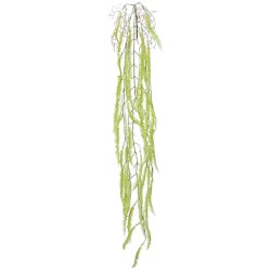 ΡΙΖΑ ΚΡΕΜΑΣΤΗ ΦΤΕΡΗ ΛΑΧΑΝΙ - Y136cm 36/144ΚΙΒ ΡΙΖΑ ΚΡΕΜΑΣΤΗ ΦΤΕΡΗ ΛΑΧΑΝΙ - Y136cm 36/144ΚΙΒ