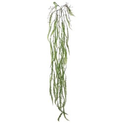 ΡΙΖΑ ΚΡΕΜΑΣΤΗ ΦΤΕΡΗ ΠΡΑΣΙΝΟ - Y136cm 36/144ΚΙΒ ΡΙΖΑ ΚΡΕΜΑΣΤΗ ΦΤΕΡΗ ΠΡΑΣΙΝΟ - Y136cm 36/144ΚΙΒ