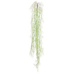 ΡΙΖΑ ΚΡΕΜΑΣΤΗ ΑΕΡΟΦΥΤΟ ΛΑΧΑΝΙ - Y138cm 36/144ΚΙΒ ΡΙΖΑ ΚΡΕΜΑΣΤΗ ΑΕΡΟΦΥΤΟ ΛΑΧΑΝΙ - Y138cm 36/144ΚΙΒ