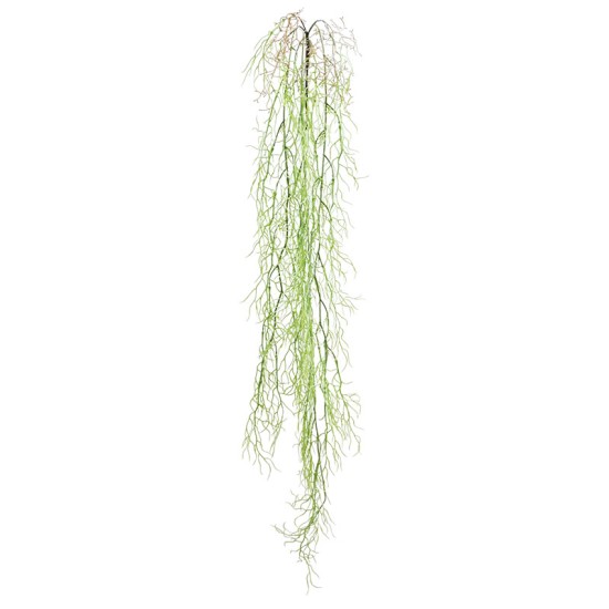 ΡΙΖΑ ΚΡΕΜΑΣΤΗ ΑΕΡΟΦΥΤΟ ΛΑΧΑΝΙ - Y138cm 36/144ΚΙΒ ΡΙΖΑ ΚΡΕΜΑΣΤΗ ΑΕΡΟΦΥΤΟ ΛΑΧΑΝΙ - Y138cm 36/144ΚΙΒ