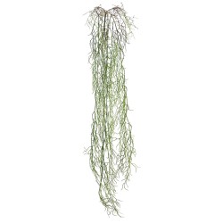 ΡΙΖΑ ΚΡΕΜΑΣΤΗ ΑΕΡΟΦΥΤΟ ΠΡΑΣΙΝΟ - Y138cm 36/144ΚΙΒ ΡΙΖΑ ΚΡΕΜΑΣΤΗ ΑΕΡΟΦΥΤΟ ΠΡΑΣΙΝΟ - Y138cm 36/144ΚΙΒ