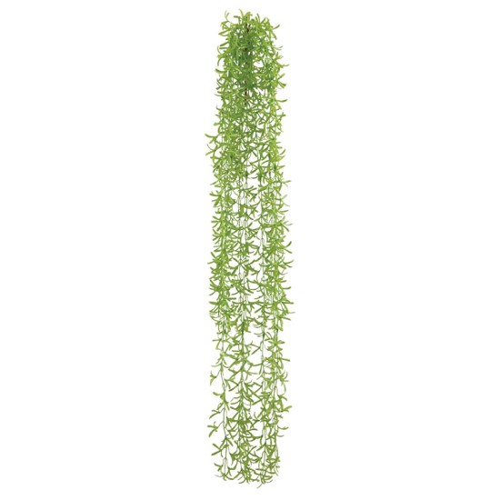 ΡΙΖΑ ΚΡΕΜΑΣΤΗ ΙΤΙΑ ΛΑΧΑΝΙ - Y110cm 36/180ΚΙΒ ΡΙΖΑ ΚΡΕΜΑΣΤΗ ΙΤΙΑ ΛΑΧΑΝΙ - Y110cm 36/180ΚΙΒ