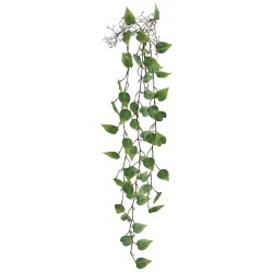 ΡΙΖΑ ΚΡΕΜΑΣΤΗ ΜΟΝΣΤΕΡΑ ΠΡΑΣΙΝΟ - Y125cm 36/144ΚΙΒ ΡΙΖΑ ΚΡΕΜΑΣΤΗ ΜΟΝΣΤΕΡΑ ΠΡΑΣΙΝΟ - Y125cm 36/144ΚΙΒ