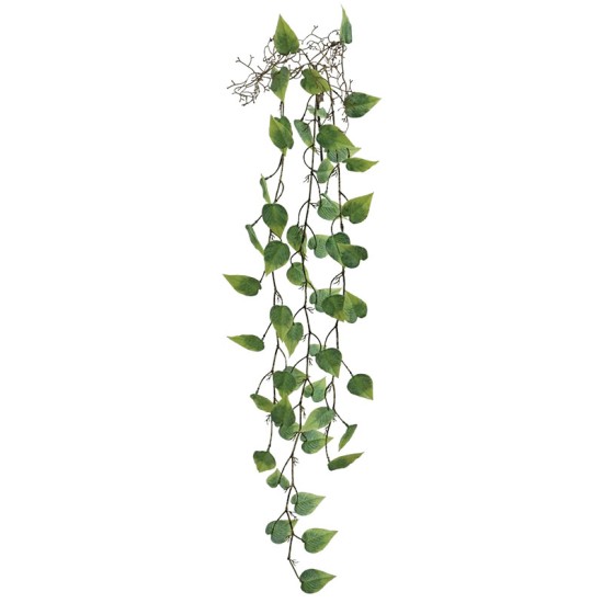 ΡΙΖΑ ΚΡΕΜΑΣΤΗ ΜΟΝΣΤΕΡΑ ΠΡΑΣΙΝΟ - Y125cm 36/144ΚΙΒ ΡΙΖΑ ΚΡΕΜΑΣΤΗ ΜΟΝΣΤΕΡΑ ΠΡΑΣΙΝΟ - Y125cm 36/144ΚΙΒ
