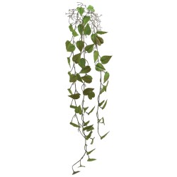 ΡΙΖΑ ΚΡΕΜΑΣΤΗ ΜΟΝΣΤΕΡΑ ΚΑΦΕ/ΠΡΑΣΙΝΟ - Y125cm 36/144ΚΙΒ ΡΙΖΑ ΚΡΕΜΑΣΤΗ ΜΟΝΣΤΕΡΑ ΚΑΦΕ/ΠΡΑΣΙΝΟ - Y125cm 36/144ΚΙΒ