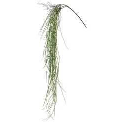 ΡΙΖΑ ΚΡΕΜΑΣΤΗ ΓΚΡΑΣΣ ΠΡΑΣΙΝΟ - Y134cm 48/192ΚΙΒ ΡΙΖΑ ΚΡΕΜΑΣΤΗ ΓΚΡΑΣΣ ΠΡΑΣΙΝΟ - Y134cm 48/192ΚΙΒ