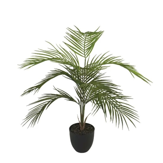 ΔΕΝΤΡΟ ΦΟΙΝΙΚΑΣ PALM ΣΕ ΚΑΣΠΩ - Y81cm 8/KIB ΔΕΝΤΡΟ ΦΟΙΝΙΚΑΣ PALM ΣΕ ΚΑΣΠΩ - Y81cm 8/KIB