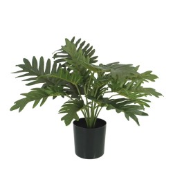 ΔΕΝΤΡΟ ΦΥΛΛΟΔΕΝΤΡΟ ΠΡΑΣΙΝΟ REAL TOUCH ΣΕ ΚΑΣΠΩ - Y39cm 12/KIB ΔΕΝΤΡΟ ΦΥΛΛΟΔΕΝΤΡΟ ΠΡΑΣΙΝΟ REAL TOUCH ΣΕ ΚΑΣΠΩ - Y39cm 12/KIB