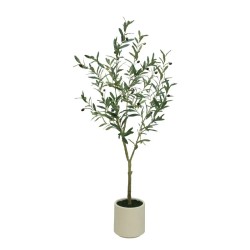 ΔΕΝΤΡΟ ΕΛΙΑ ΠΡΑΣΙΝΟ ΣΕ ΚΑΣΠΩ - Y150cm 1/KIB ΔΕΝΤΡΟ ΕΛΙΑ ΠΡΑΣΙΝΟ ΣΕ ΚΑΣΠΩ - Y150cm 1/KIB