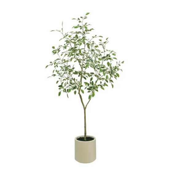ΔΕΝΤΡΟ ΜΠΕΝΖΑΜΙΝ ΔΙΧΡΩΜΟ REAL TOUCH ΣΕ ΚΑΣΠΩ - Υ180cm 1/KIB ΔΕΝΤΡΟ ΜΠΕΝΖΑΜΙΝ ΔΙΧΡΩΜΟ REAL TOUCH ΣΕ ΚΑΣΠΩ - Υ180cm 1/KIB