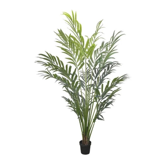 ΔΕΝΤΡΟ REAL TOUCH ΦΟΙΝΙΚΑΣ ΣΕ ΚΑΣΠΩ - Y250cm 1/KIB ΔΕΝΤΡΟ REAL TOUCH ΦΟΙΝΙΚΑΣ ΣΕ ΚΑΣΠΩ - Y250cm 1/KIB