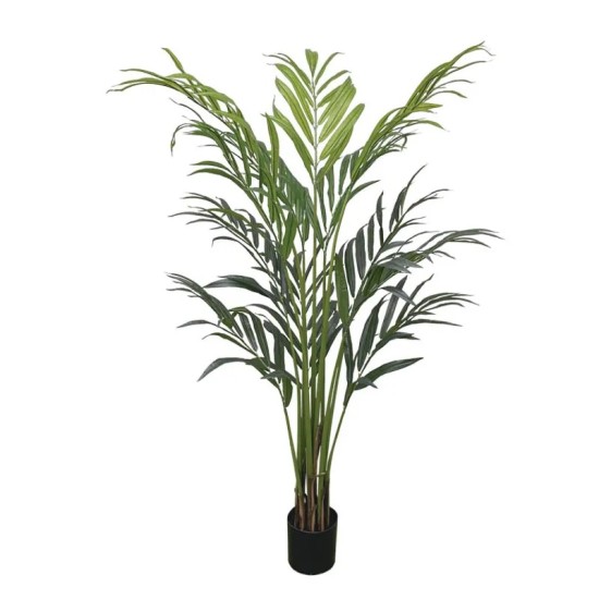 ΔΕΝΤΡΟ REAL TOUCH ΦΟΙΝΙΚΑΣ ΣΕ ΚΑΣΠΩ - Y190cm 4/KIB ΔΕΝΤΡΟ REAL TOUCH ΦΟΙΝΙΚΑΣ ΣΕ ΚΑΣΠΩ - Y190cm 4/KIB