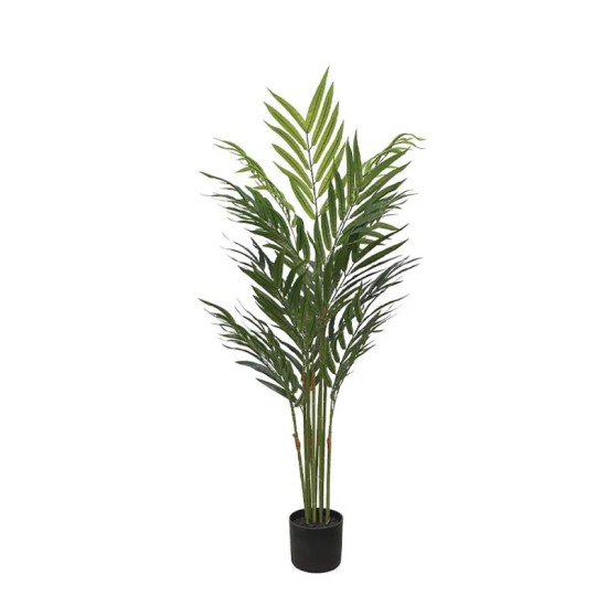 ΔΕΝΤΡΟ REAL TOUCH ΦΟΙΝΙΚΑΣ ΜΠΑΜΟΥ ΣΕ ΚΑΣΠΩ - Y120cm 4/KIB ΔΕΝΤΡΟ REAL TOUCH ΦΟΙΝΙΚΑΣ ΜΠΑΜΟΥ ΣΕ ΚΑΣΠΩ - Y120cm 4/KIB