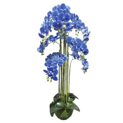ΦΥΤΟ ΟΡΧΙΔΕΑ ΜΠΛΕ ΑΝΘΗ REAL TOUCH - Y135cm 1/KIB ΦΥΤΟ ΟΡΧΙΔΕΑ ΜΠΛΕ ΑΝΘΗ REAL TOUCH - Y135cm 1/KIB