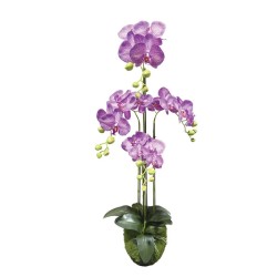 ΦΥΤΟ ΟΡΧΙΔΕΑ ΜΩΒ ΜΕ ΛΕΥΚΕΣ ΡΙΓΕΣ ΑΝΘΗ REAL TOUCH - Y98cm 2/KIB ΦΥΤΟ ΟΡΧΙΔΕΑ ΜΩΒ ΜΕ ΛΕΥΚΕΣ ΡΙΓΕΣ ΑΝΘΗ REAL TOUCH - Y98cm 2/KIB