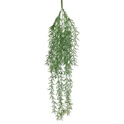ΡΙΖΑ ΚΡΕΜΑΣΤΗ ΦΤΕΡΗ ΠΡΑΣΙΝΑΔΑ - Υ85cm 3/36ΚΙΒ ΡΙΖΑ ΚΡΕΜΑΣΤΗ ΦΤΕΡΗ ΠΡΑΣΙΝΑΔΑ - Υ85cm 3/36ΚΙΒ