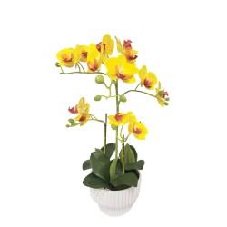 ΚΙΤΡΙΝΟ ΟΡΧΙΔΕΑ REAL TOUCH ΣΕ ΚΑΣΠΩ (3 ΚΛΑΔΙΑ, 15 ΑΝΘΗ) - Y45cm 4/24ΚΙΒ ΚΙΤΡΙΝΟ ΟΡΧΙΔΕΑ REAL TOUCH ΣΕ ΚΑΣΠΩ (3 ΚΛΑΔΙΑ, 15 ΑΝΘΗ) - Y45cm 4/24ΚΙΒ