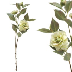ΚΛΑΔΙ ΚΑΜΕΛΙΑΣ ΕΚΡΟΥ Χ5 ΑΝΘΗ - Y69cm 12/120ΚΙΒ ΚΛΑΔΙ ΚΑΜΕΛΙΑΣ ΕΚΡΟΥ Χ5 ΑΝΘΗ - Y69cm 12/120ΚΙΒ