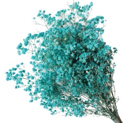 ΑΠΟΞΗΡΑΜΕΝA ΚΛΑΔΙΑ ΚΥΑΝΟ ΓΥΨΟΦΥΛΗ ΜΑΤΣΟ 100gr - Υ70-80cm 30/ΚΙΒ ΑΠΟΞΗΡΑΜΕΝA ΚΛΑΔΙΑ ΚΥΑΝΟ ΓΥΨΟΦΥΛΗ ΜΑΤΣΟ 100gr - Υ70-80cm 30/ΚΙΒ