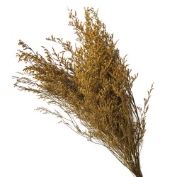 ΑΠΟΞΗΡΑΜΕΝA ΚΙΤΡΙΝΟ ΚΛΑΔΙΑ ΛΕΙΜΩΝΙΟ ΚΑΣΠΙΑ ΜΑΤΣΟ 120gr - Υ70cm 40/ΚΙΒ ΑΠΟΞΗΡΑΜΕΝA ΚΙΤΡΙΝΟ ΚΛΑΔΙΑ ΛΕΙΜΩΝΙΟ ΚΑΣΠΙΑ ΜΑΤΣΟ 120gr - Υ70cm 40/ΚΙΒ