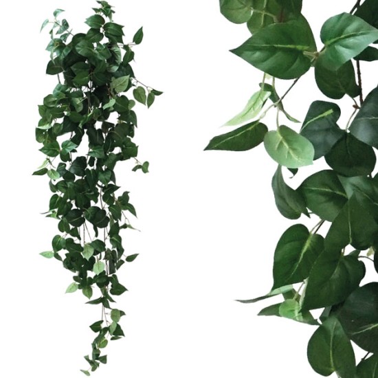 ΡΙΖΑ ΚΡΕΜΑΣΤΗ ΠΟΘΟΣ ΠΡΑΣΙΝΟΣ Y130cm 1/50KIB ΡΙΖΑ ΚΡΕΜΑΣΤΗ ΠΟΘΟΣ ΠΡΑΣΙΝΟΣ Y130cm 1/50KIB