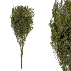 ΚΛΑΔΙ ΠΡΑΣΙΝΟ ΛΕΙΜΩΝΙΟ ΑΠΟΞΗΡΑΜΕΝΟ 3~5 ΤΜΧ/ΜΑΤΣΟ Υ80~90cm, Υ50~60cm ΤΟ ΑΝΘΟΣ, 100/ΚΙΒ ΚΛΑΔΙ ΠΡΑΣΙΝΟ ΛΕΙΜΩΝΙΟ ΑΠΟΞΗΡΑΜΕΝΟ 3~5 ΤΜΧ/ΜΑΤΣΟ Υ80~90cm, Υ50~60cm ΤΟ ΑΝΘΟΣ, 100/ΚΙΒ