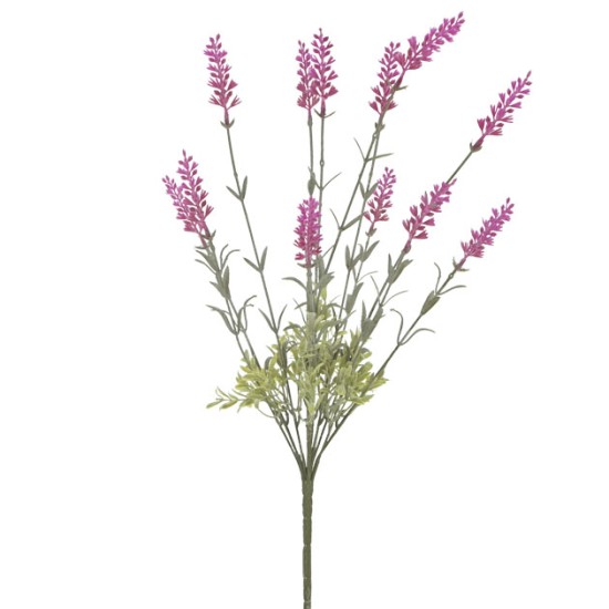 ΛΕΒΑΝΤΑ ΜΠΟΥΚΕΤΟ ΦΟΥΞ ΑΝΟΙΧΤΟ X10 Υ45cm. 24/144ΚΙΒ ΛΕΒΑΝΤΑ ΜΠΟΥΚΕΤΟ ΦΟΥΞ ΑΝΟΙΧΤΟ X10 Υ45cm. 24/144ΚΙΒ