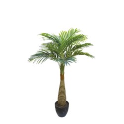 ΔΕΝΤΡΟ ΦΟΙΝΙΚΑΣ ΑΡΕΚΑ REAL TOUCH ΣΕ ΓΛΑΣΤΡΑ - Υ120cm 4/ΚΙΒ ΔΕΝΤΡΟ ΦΟΙΝΙΚΑΣ ΑΡΕΚΑ REAL TOUCH ΣΕ ΓΛΑΣΤΡΑ - Υ120cm 4/ΚΙΒ