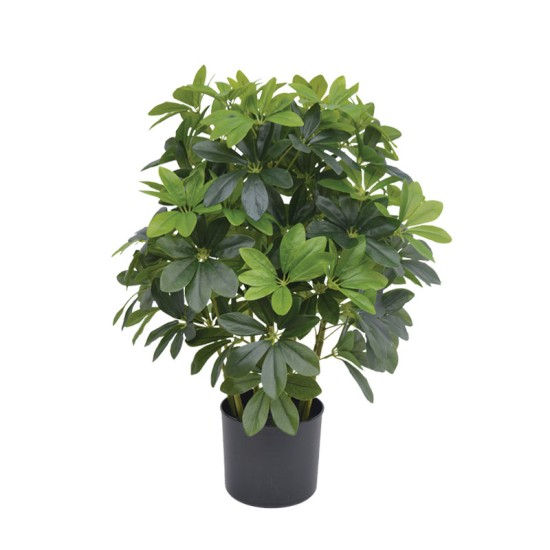 ΔΕΝΤΡΟ ΣΕΦΛΙΕΡΑ ΠΡΑΣΙΝΟ REAL TOUCH ΣΕ ΚΑΣΠΩ - Υ70cm 1/2ΚΙΒ ΔΕΝΤΡΟ ΣΕΦΛΙΕΡΑ ΠΡΑΣΙΝΟ REAL TOUCH ΣΕ ΚΑΣΠΩ - Υ70cm 1/2ΚΙΒ