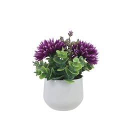 ΓΛΑΣΤΡΑΚΙ ME ΜΩΒ ΧΡΥΣΑΝΘΕΜΑ & ΕΥΚΑΛΥΠΤΟ - Υ18cm 6/12ΚΙΒ ΓΛΑΣΤΡΑΚΙ ME ΜΩΒ ΧΡΥΣΑΝΘΕΜΑ & ΕΥΚΑΛΥΠΤΟ - Υ18cm 6/12ΚΙΒ