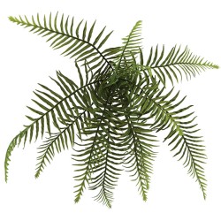 ΡΙΖΑ ΚΡΕΜΑΣΤΗ ΦΤΕΡΗ Φ60xY35cm 48/288KIB ΡΙΖΑ ΚΡΕΜΑΣΤΗ ΦΤΕΡΗ Φ60xY35cm 48/288KIB