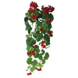 ΡΙΖΑ ΒΙΓOΝΙΑ ΚΟΚΚΙΝΗ Y75cm. 6/48ΚΙΒ ΡΙΖΑ ΒΙΓOΝΙΑ ΚΟΚΚΙΝΗ Y75cm. 6/48ΚΙΒ