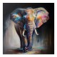 Πίνακας σε καμβά "Colorful Elephant" Megapap ψηφιακής εκτύπωσης 100x100x3εκ. Πίνακας σε καμβά "Colorful Elephant" Megapap ψηφιακής εκτύπωσης 100x100x3εκ.