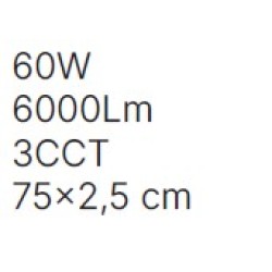 Inlight Πλαφονιέρα οροφής LED 60W 3CCT (by switch on base) σε ασημί απόχρωση D:75x2,5cm (42036-AA-Silver) Inlight Πλαφονιέρα οροφής LED 60W 3CCT (by switch on base) σε ασημί απόχρωση D:75x2,5cm (42036-AA-Silver)