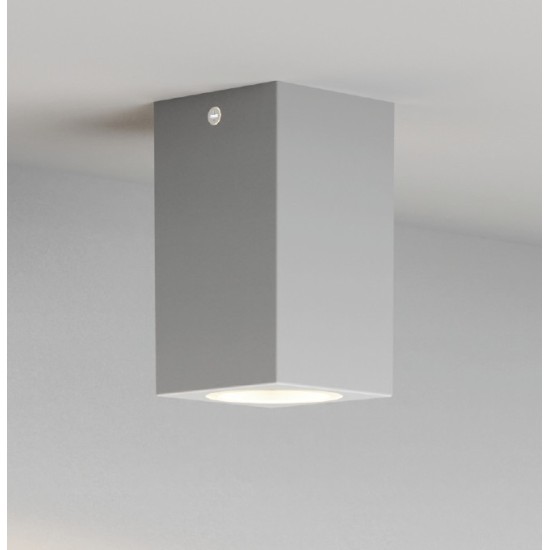 it-Lighting Cowart GU10 Outdoor Ceiling Down Light Grey (80300634)