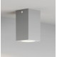 it-Lighting Cowart GU10 Outdoor Ceiling Down Light Grey (80300634)