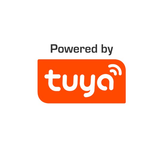 InLight Πλαφονιέρα οροφής LED 27W 3CCT (by tuya) από λευκό και ασημί ακρυλικό D:40cm (42016-B)