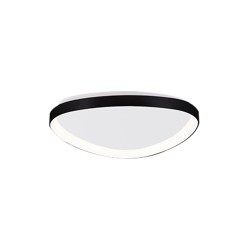 Inlight Πλαφονιέρα οροφής LED 25W 3CCT από μαύρο μέταλλο και ακρυλικό D:61,5x5cm (42043-Black)