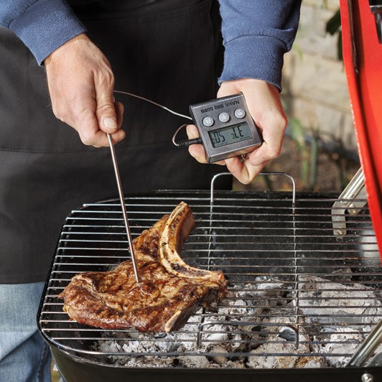 Ψηφιακό θερμόμετρο "BBQ Guru" με ακίδα, μαγνήτη και γάντζο 0°C - 250°C